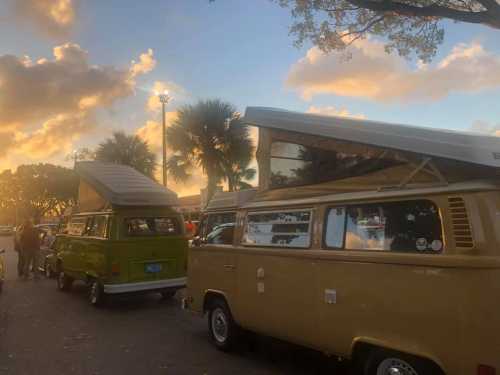 Two vintage camper vans parked under a sunset sky, with palm trees in the background.