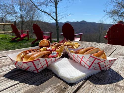Two trays of hot dogs with toppings and fries on a wooden table, with a scenic mountain view in the background.