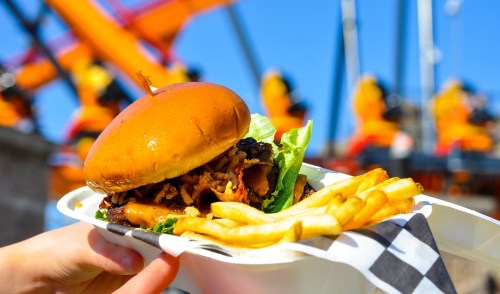 A close-up of a burger with lettuce and crispy onions, served with fries against a bright outdoor background.