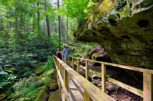 Two people walk on a wooden bridge through a lush green forest with large rocks and trees surrounding them.