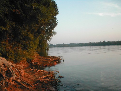Serene riverbank at sunset, with lush trees and calm water reflecting the soft light.