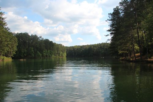 A serene lake surrounded by lush green trees under a partly cloudy sky. The water is calm and reflective.