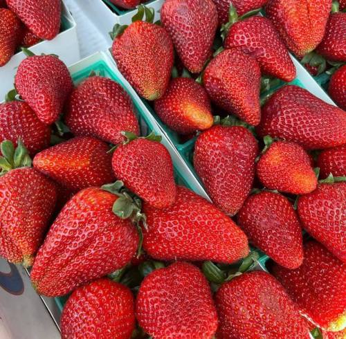 Fresh, vibrant red strawberries piled together in green containers.