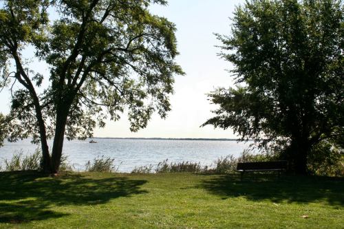 A serene lakeside view with two trees, a grassy area, and a distant boat on the water under a clear sky.