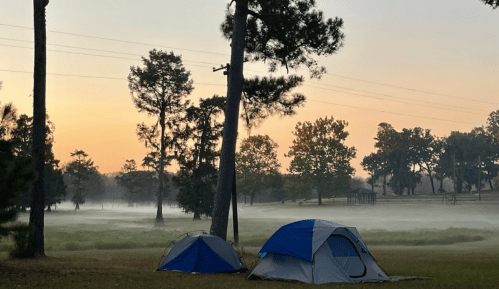 Two tents set up in a misty campsite at dawn, surrounded by trees and a serene landscape.