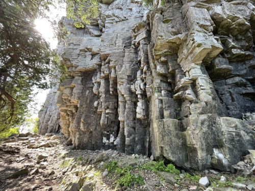 A rocky cliff with vertical columns of stone, surrounded by trees and sunlight filtering through the foliage.