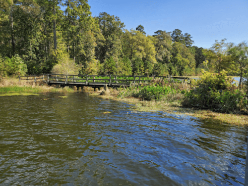 A wooden bridge over calm water, surrounded by lush greenery and trees under a clear blue sky.