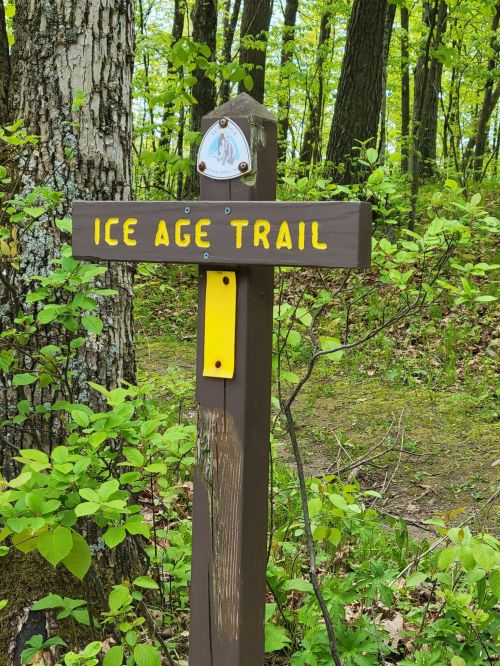 A wooden signpost in a green forest, labeled "Ice Age Trail," with a small emblem at the top.