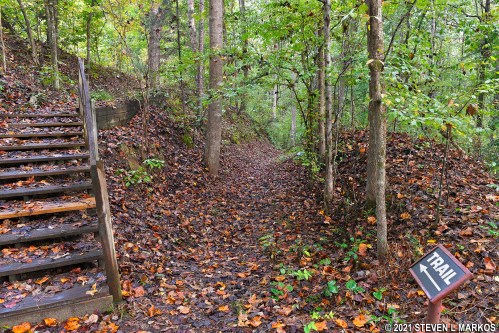A forested area with a trail sign and a set of wooden stairs leading into a path covered in fallen leaves.