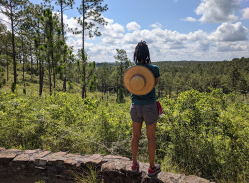 A person stands on a stone wall, wearing a hat, gazing at a lush green landscape with trees and blue skies.