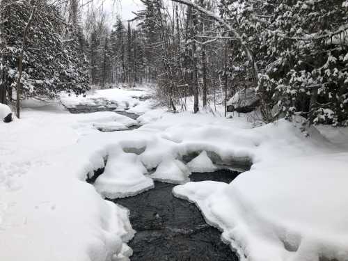 A serene winter scene with a flowing stream surrounded by snow-covered banks and trees.