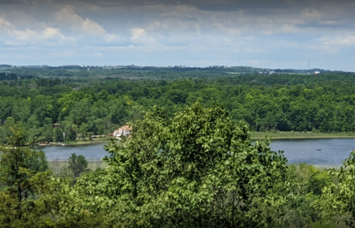 A scenic view of a lush green landscape with a lake and distant hills under a clear sky.