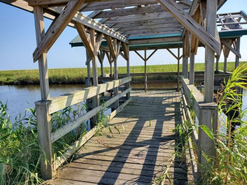 A wooden dock with a roof, surrounded by tall grass and water, under a clear blue sky.