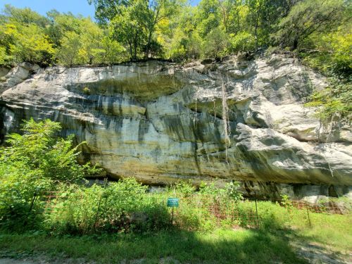 A large, rocky cliff with greenery at the base and trees above, under a clear blue sky.