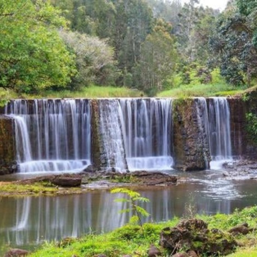 A serene waterfall cascading over rocks into a calm pool, surrounded by lush greenery and trees.