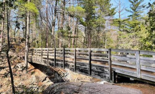 A wooden bridge spans a rocky area, surrounded by trees and blue sky in a serene forest setting.