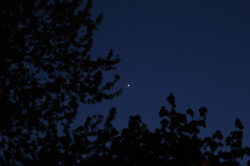 A bright star shines in a dark night sky, framed by silhouettes of trees.