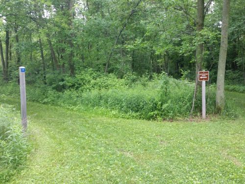A grassy path leads into a dense, green forest with a trail sign on the right and a blue marker on a post.