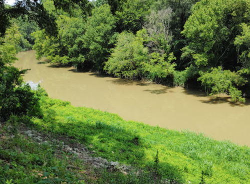 A muddy river flows through a lush green landscape, surrounded by trees and vegetation.