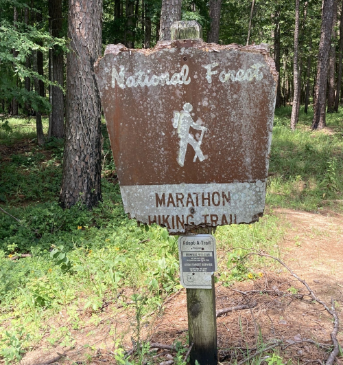 Sign for the Marathon Hiking Trail in a national forest, surrounded by trees and natural scenery.