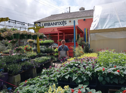 A person stands in a vibrant plant nursery filled with colorful flowers and greenery, with a building labeled "URBANroots" in the background.