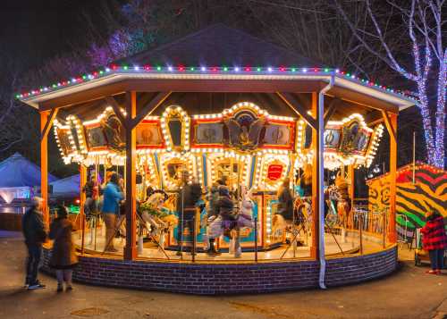 A brightly lit carousel with colorful lights, surrounded by people enjoying a festive evening.