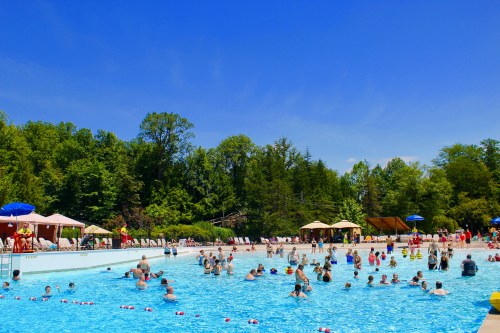 A crowded outdoor pool on a sunny day, with people swimming and lounging under umbrellas surrounded by trees.