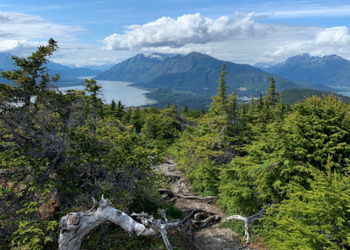 A scenic view of mountains and a river, surrounded by lush green trees under a partly cloudy sky.