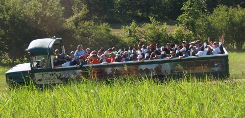 A large group of people sitting in a green vehicle surrounded by tall grass and trees on a sunny day.
