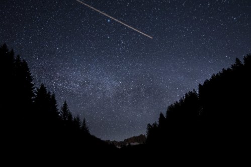 A starry night sky filled with stars and a bright streak, framed by dark silhouettes of trees and mountains below.