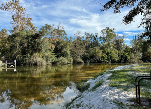 A serene river scene with lush trees reflecting in the water, sandy bank, and a wooden dock in the background.