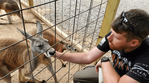 A man gently pets a kangaroo through a fence at a wildlife enclosure. Other kangaroos are visible in the background.