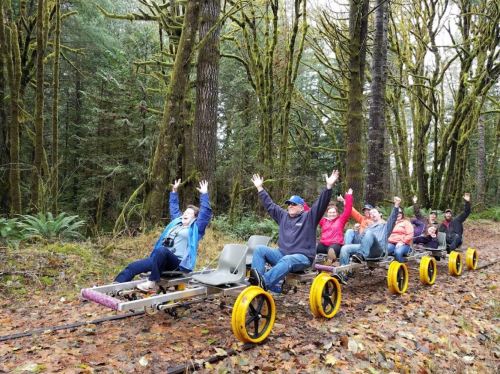 A group of people joyfully riding a rail bike through a forest, with hands raised and surrounded by trees.