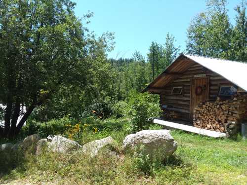 A rustic log cabin surrounded by trees and wildflowers, with a stack of firewood and a clear blue sky.