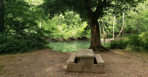 A serene spot by a river, featuring a stone bench surrounded by lush greenery and trees.