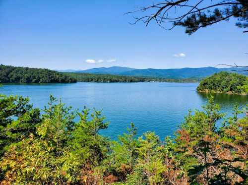 A serene lake surrounded by lush greenery and mountains under a clear blue sky.