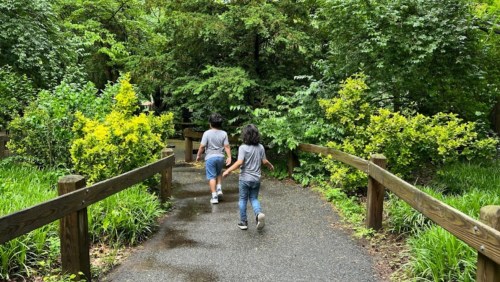 Two children walk hand in hand along a wooded path surrounded by lush greenery and vibrant yellow flowers.