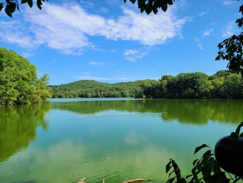 A serene lake surrounded by lush green trees under a clear blue sky, reflecting the landscape in calm waters.