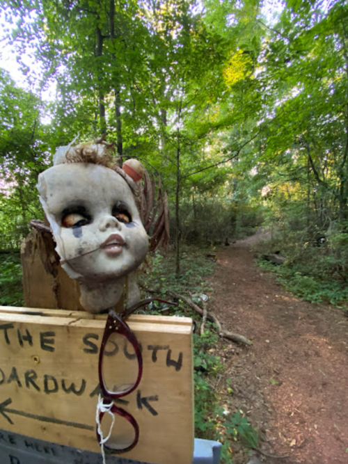A weathered doll's head hangs on a wooden sign in a lush, green forest, with a dirt path visible in the background.