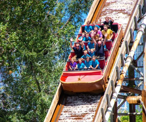 A group of excited people on a log flume ride, splashing down with smiles against a backdrop of trees.