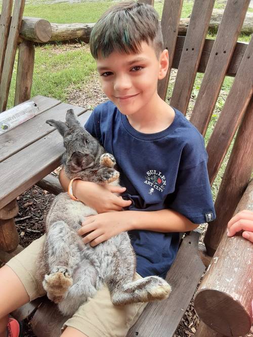 A smiling boy sits on a wooden bench, holding a large rabbit in his lap.