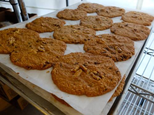 Freshly baked cookies with walnuts, arranged on parchment paper on a cooling rack.