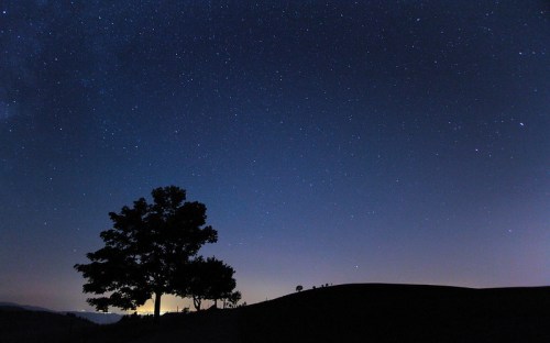Silhouette of a tree against a starry night sky, with a gentle gradient of twilight colors on the horizon.