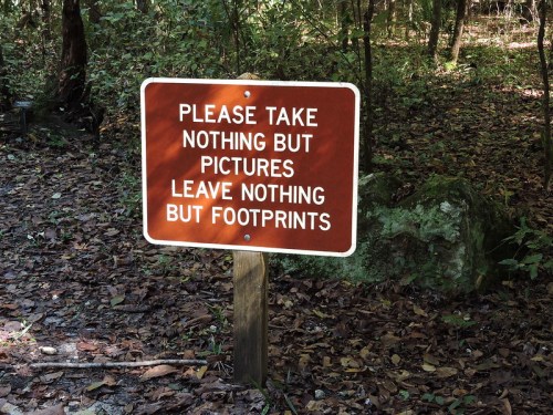 A brown sign in a forest reads: "Please take nothing but pictures, leave nothing but footprints."