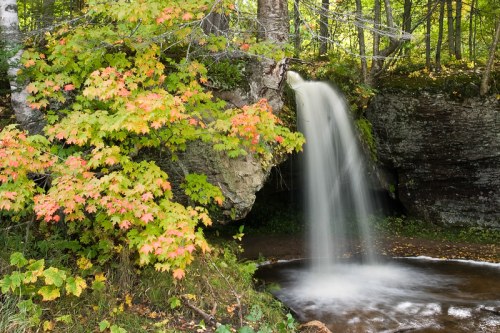 A serene waterfall cascades over rocks, surrounded by vibrant autumn foliage in a tranquil forest setting.