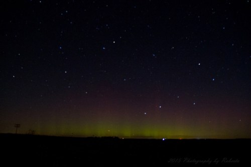 A night sky filled with stars and a vibrant green aurora illuminating the horizon.