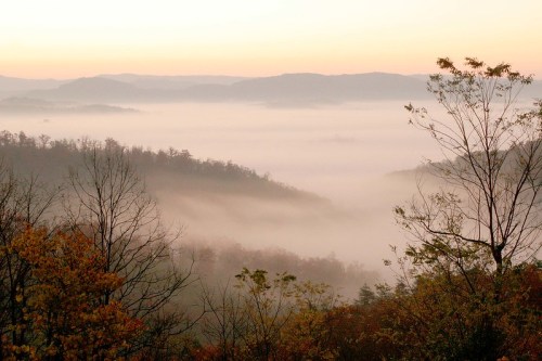 A misty valley at dawn, with soft fog rolling over hills and trees silhouetted against a pastel sky.