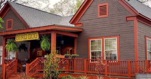 A cozy brown house with a red porch and sign reading "BIRD DOG," surrounded by greenery and colorful plants.