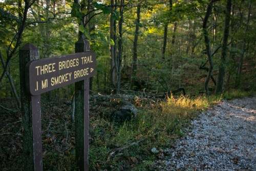 A wooden sign for "Three Bridges Trail" points towards Smokey Bridge, surrounded by lush green trees and gravel path.