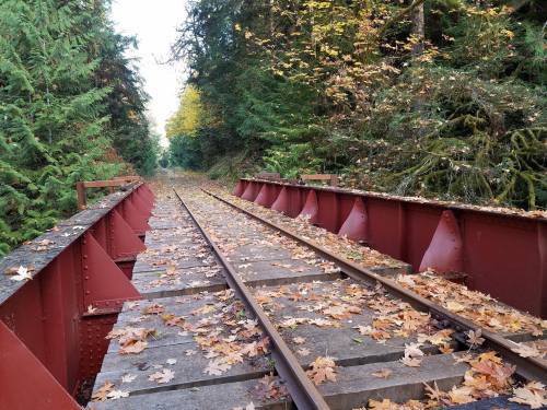 Abandoned railway tracks surrounded by trees, covered in autumn leaves, with a rustic red bridge in the foreground.